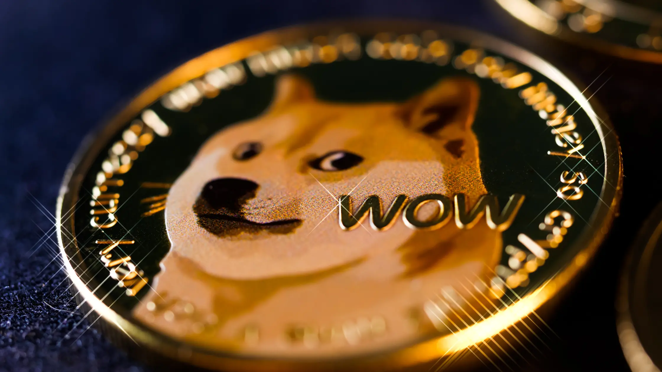 What Most Investors Get Wrong About Altcoins